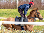 BP200326-32 - It's Hard To Know